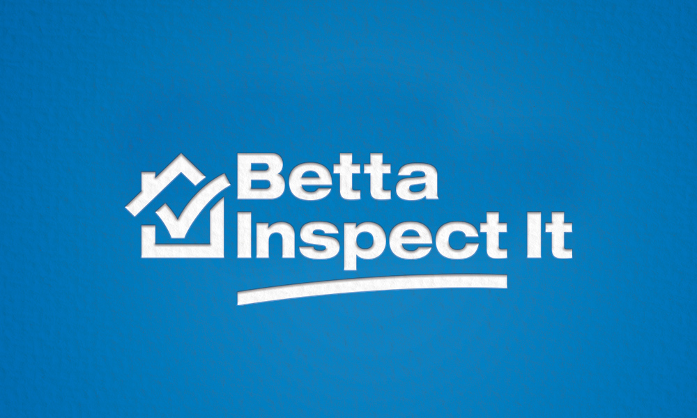 Betta-Inspect-It-branding-logo-design-home-coast-and-co